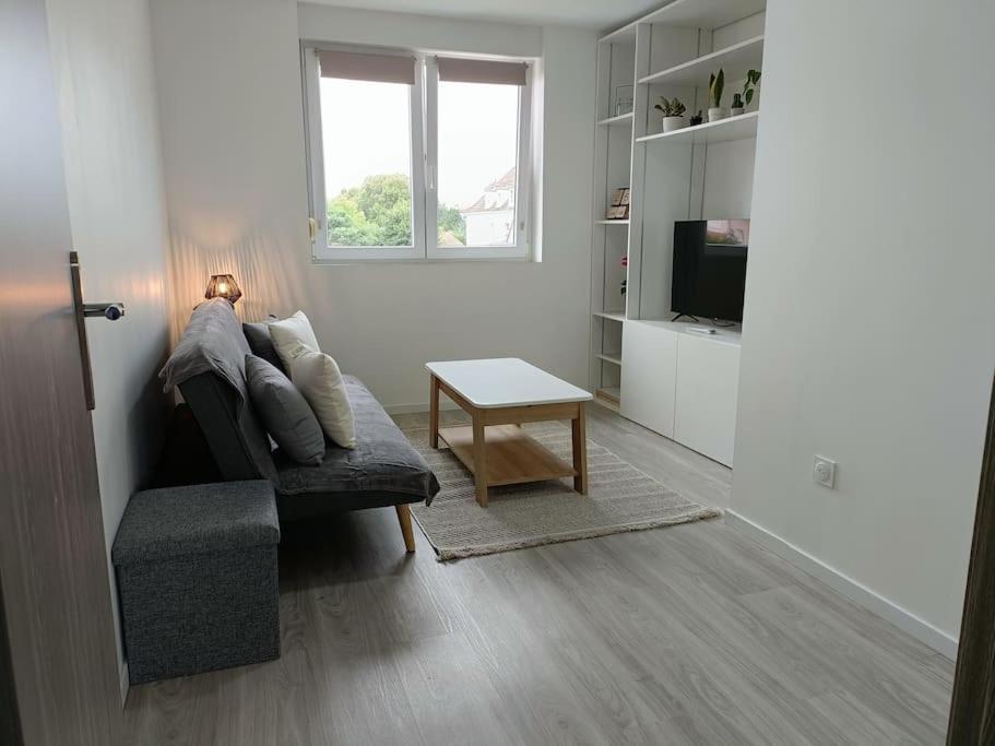 Appartement Entier F3 Renove - Petite Pause A Sélestat Exterior foto