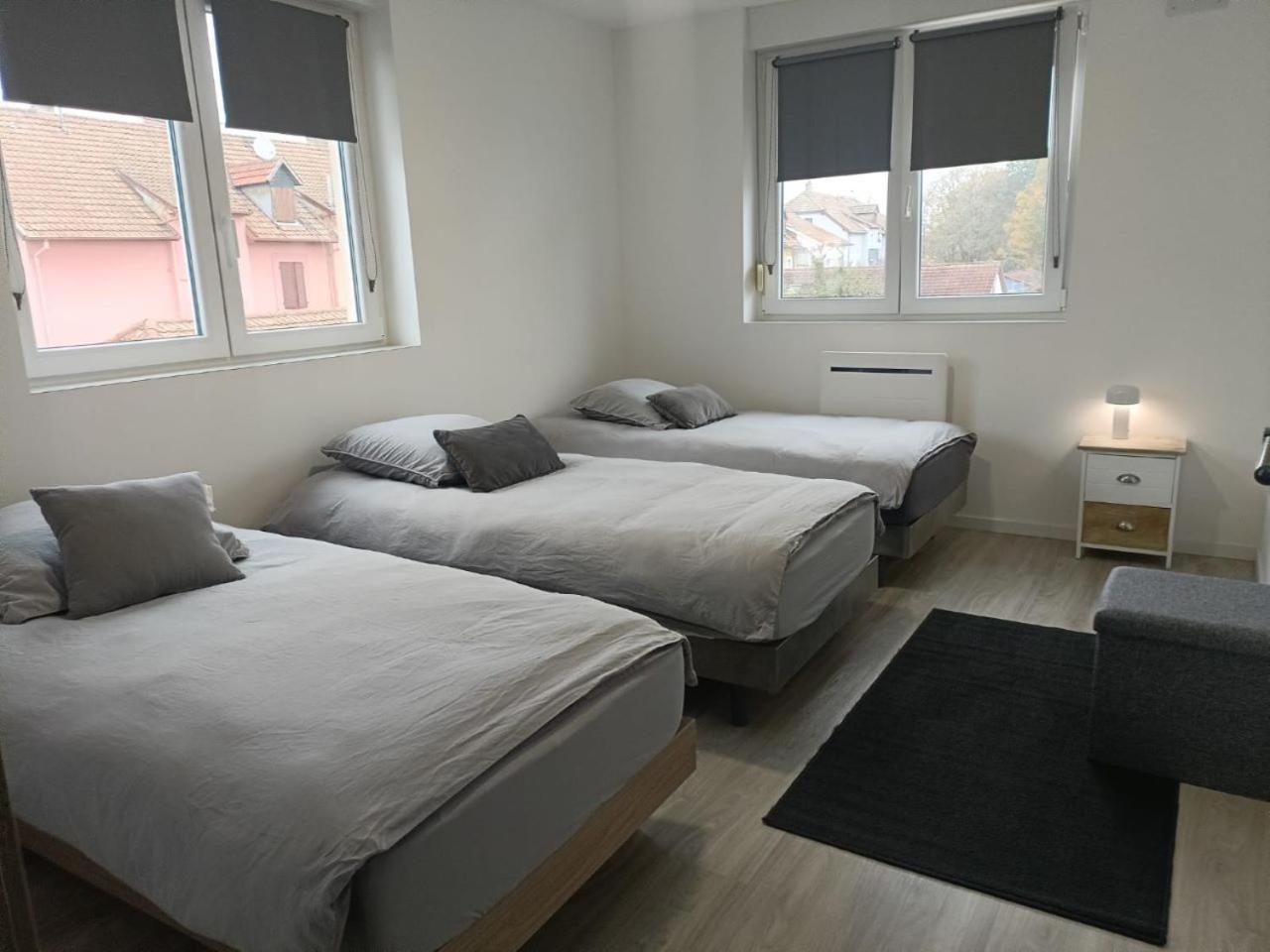 Appartement Entier F3 Renove - Petite Pause A Sélestat Exterior foto